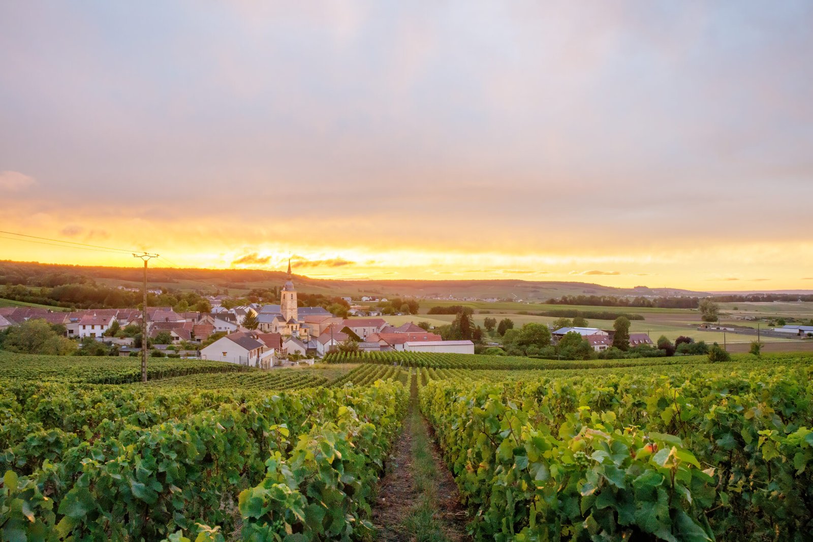Vignoble et village français au coucher du soleil.